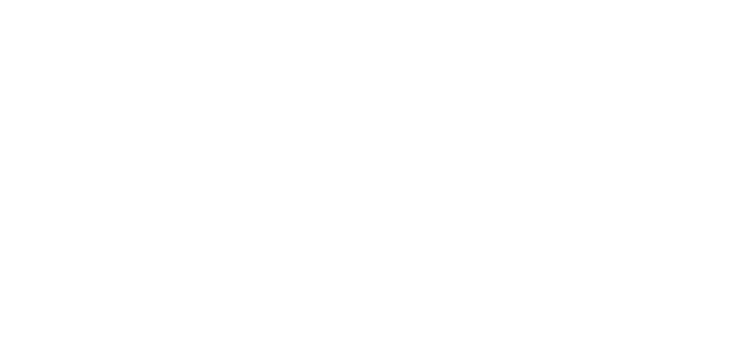 DVV Logo